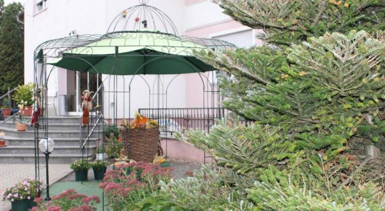 foto6