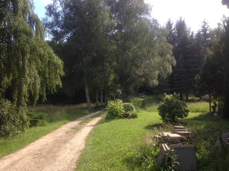 foto6