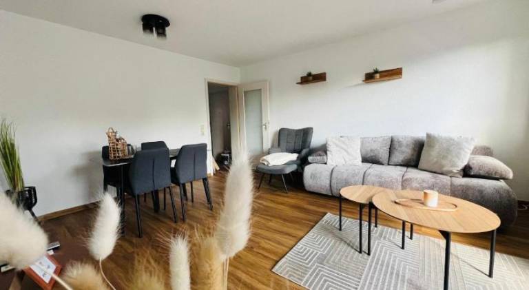 Holiday apartment | Pets are welcome in Pirna