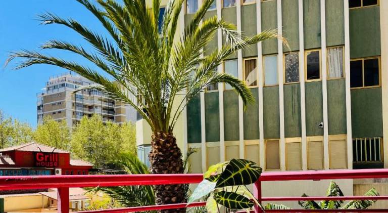 Beautiful rental apartment with pool | Next to the beach | Dogs allowed — photo 5