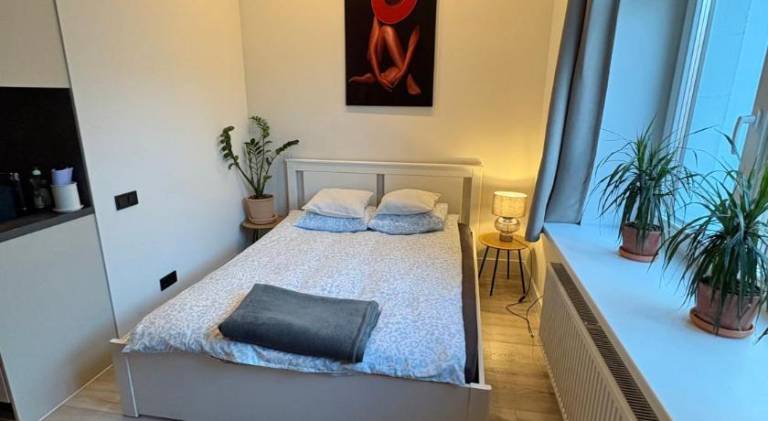 Rental apartment | Pets are welcome in Riga