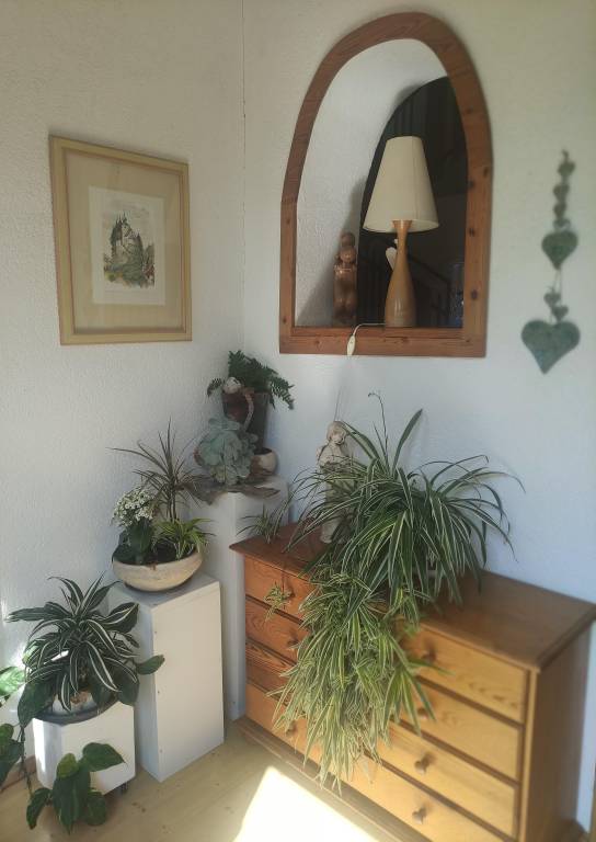 foto23