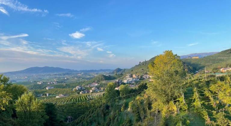 Silvia Miotto's Guesthouse in Valdobbiadene