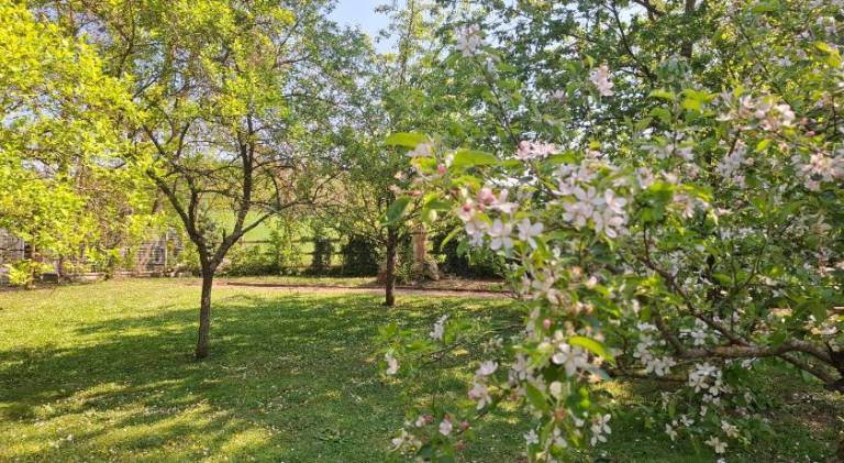 foto17