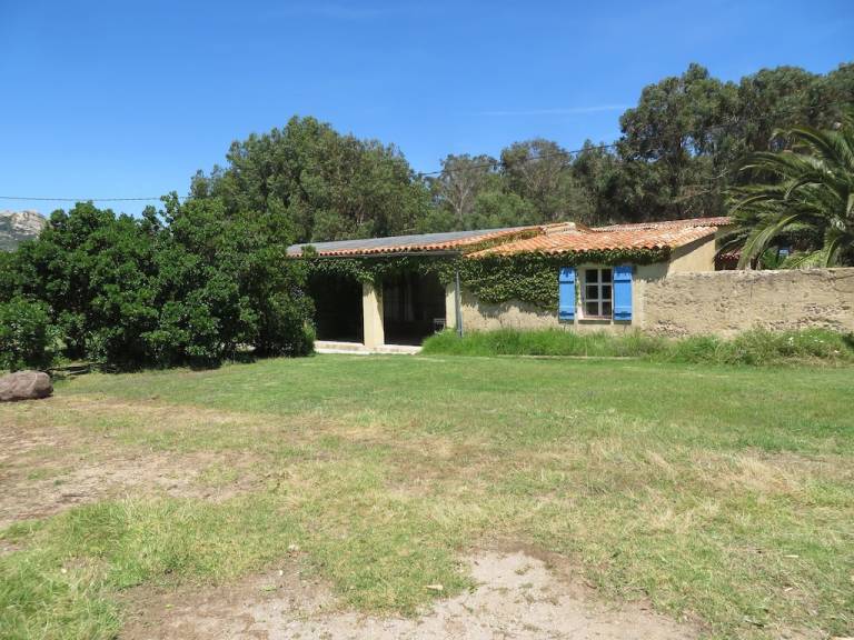 Maison de vacances  Calenzana