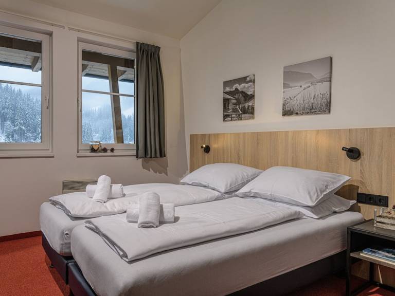 Appartement  Viehhofen