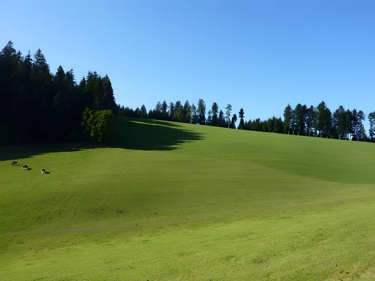 foto15