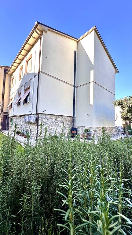 foto11