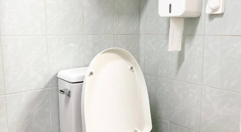 foto11