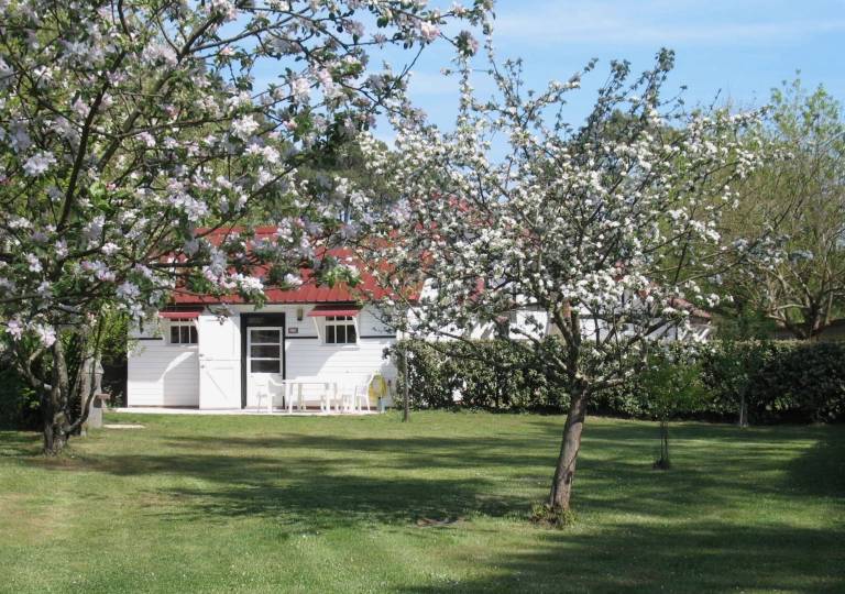 Maison de vacances Mimizan