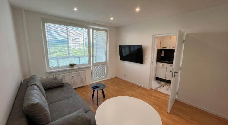 Pleasant rental apartment | Dogs allowed in Kosice