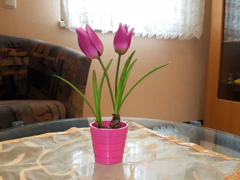 foto4