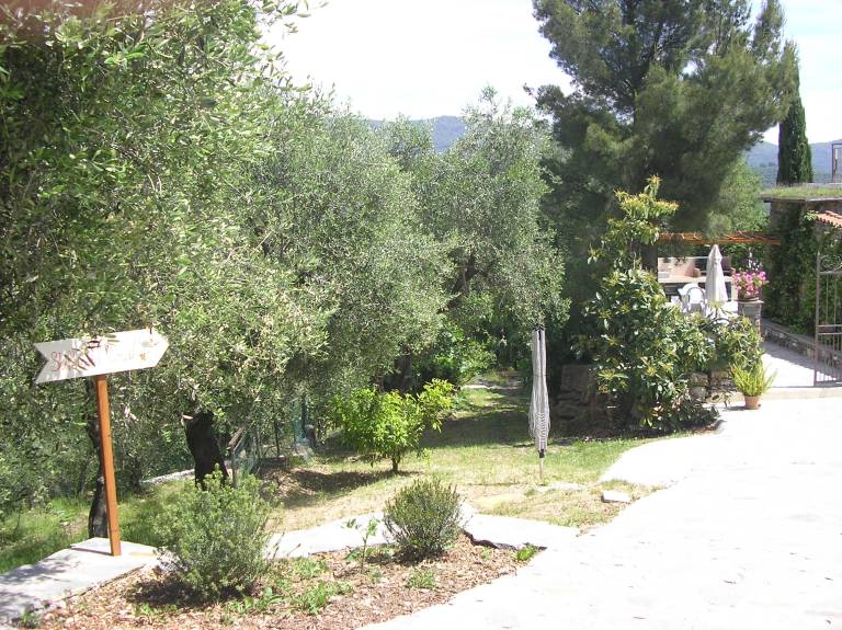 foto11