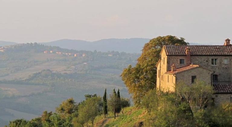 House with pool | Pets are welcome in Radicondoli