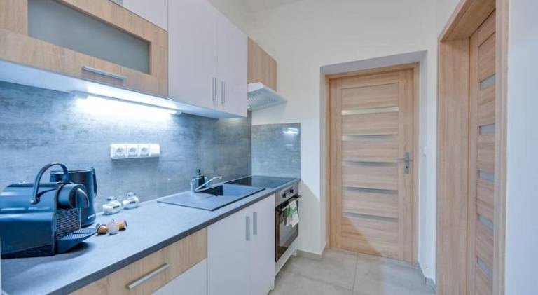 Apartment | Close to Holy Trinity Column | Dogs allowed — photo 5