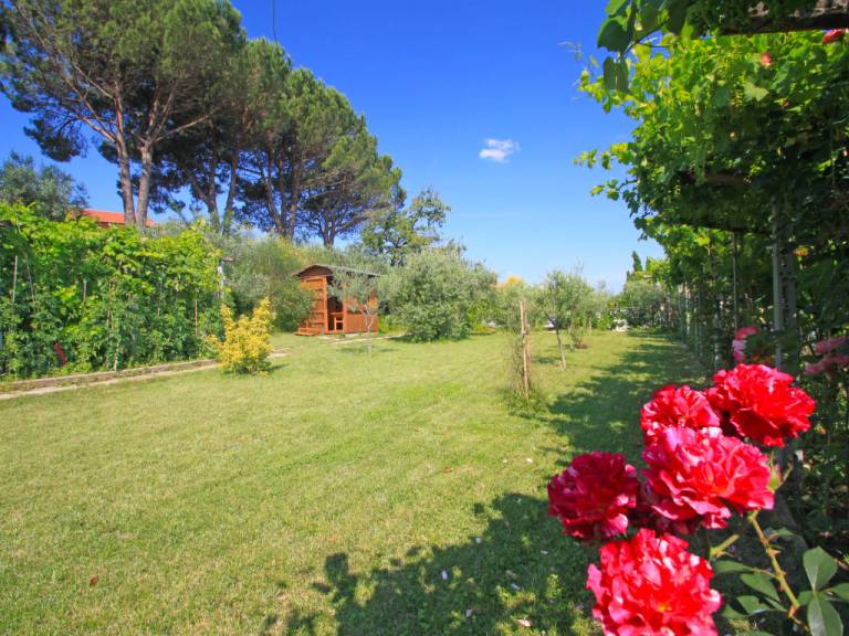 foto44