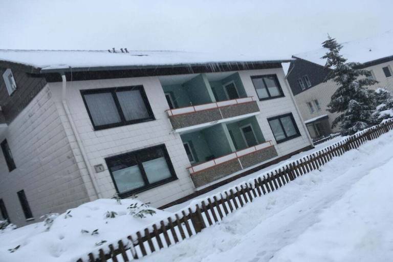 House with garden — photo 4