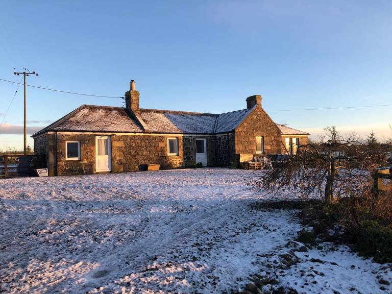 Cottage  Cellardyke