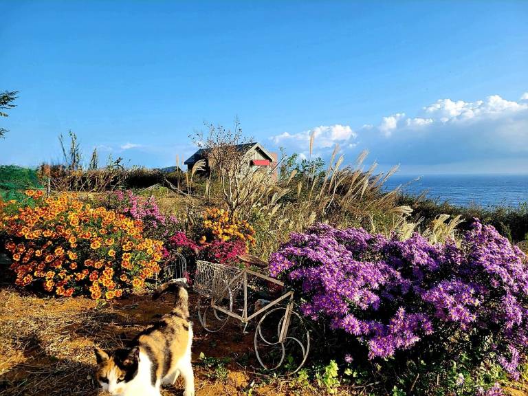 foto11