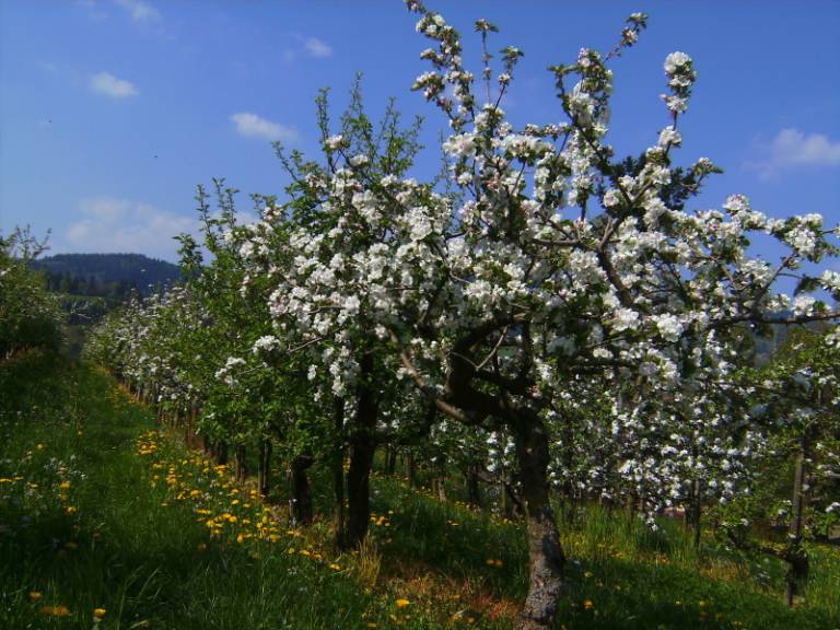 foto22