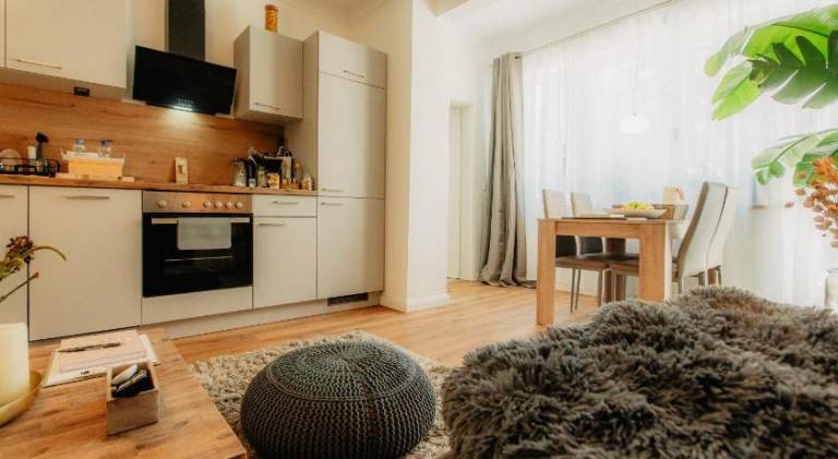 Beautiful apartment with barbeque, sauna & terrace | Pets are welcome — photo 2