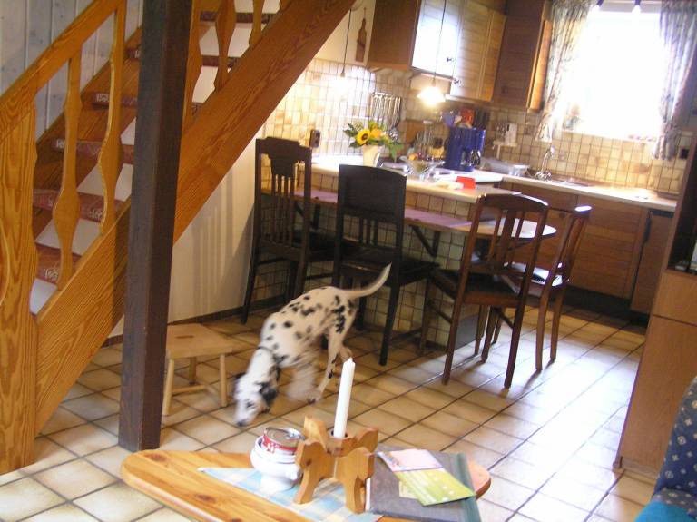 foto12