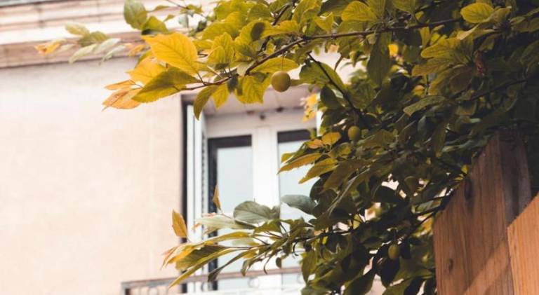 Casa Tours