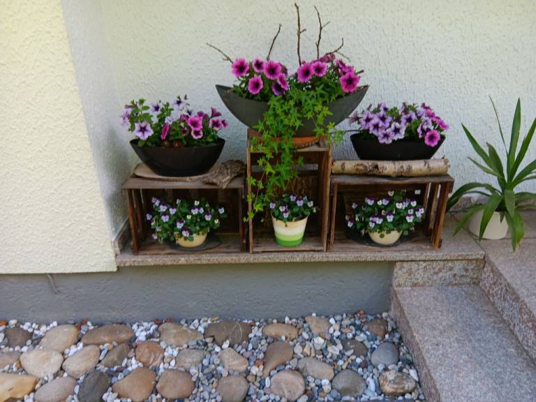 foto19
