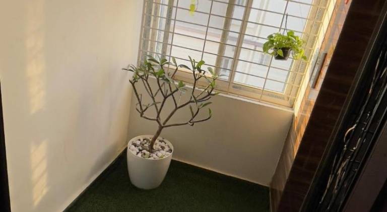 foto34