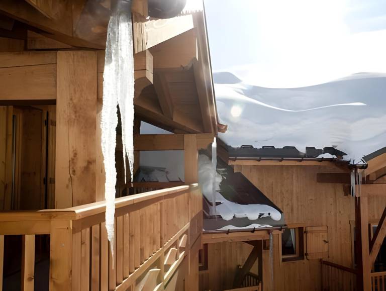 Serviced apartment for 8 persons in Tignes