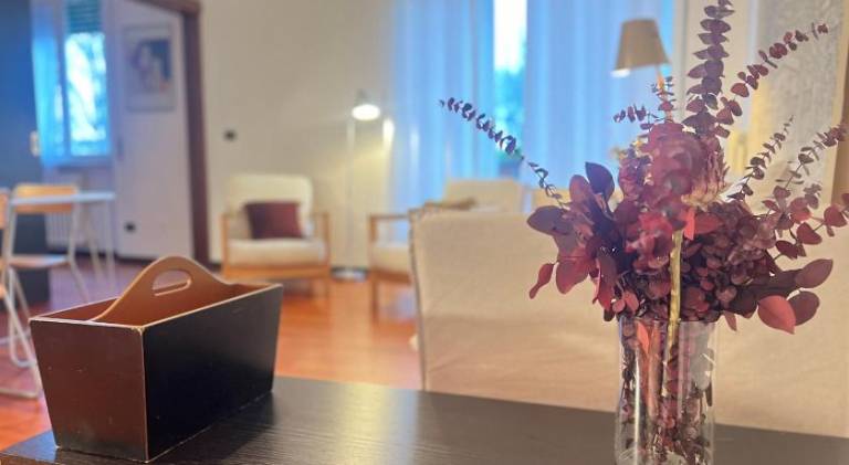 Holiday apartment | Next to Lucca Cathedral — photo 2