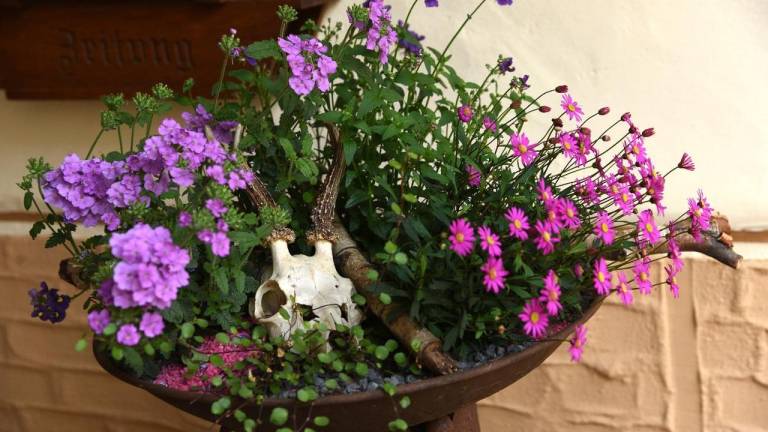 foto9