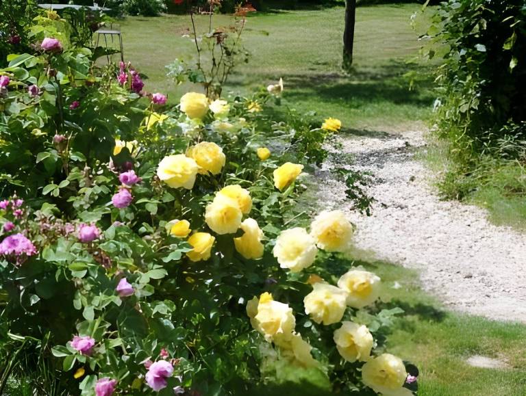 foto32