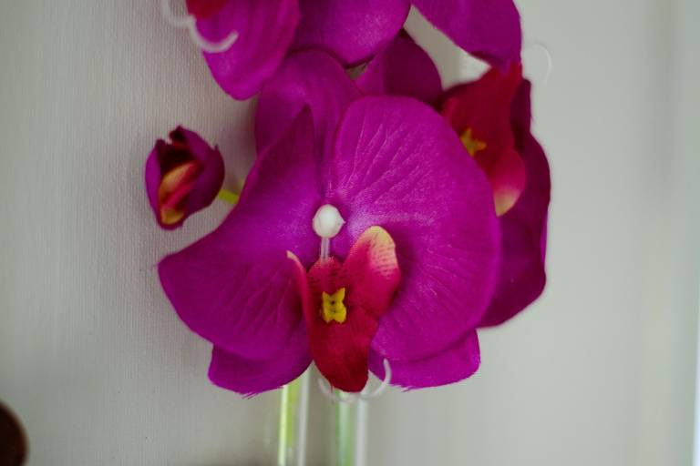 foto38