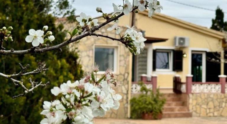 Pleasant house with pool | Pets allowed in Llucmajor
