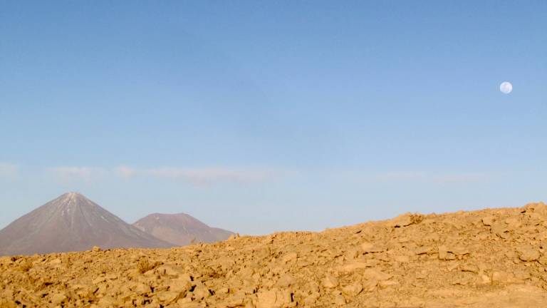 Atacama Roots Hostel — photo 2
