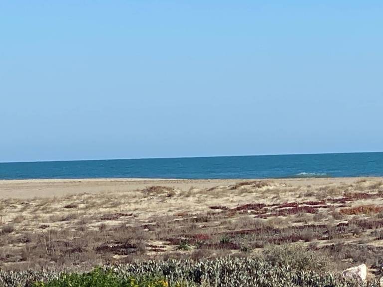 Villa | Beach nearby | Dogs allowed — photo 2