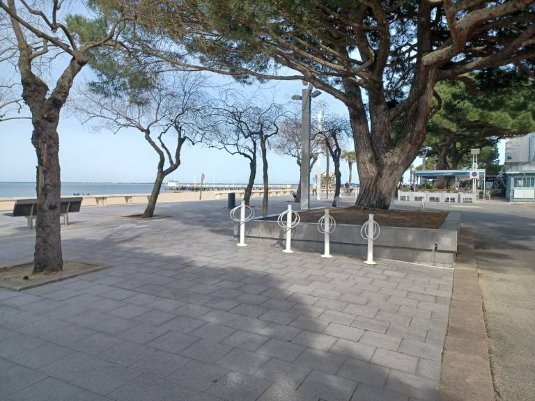 foto16