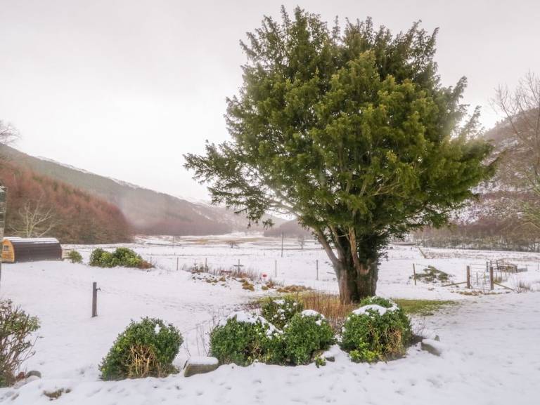 Cottage Cannich