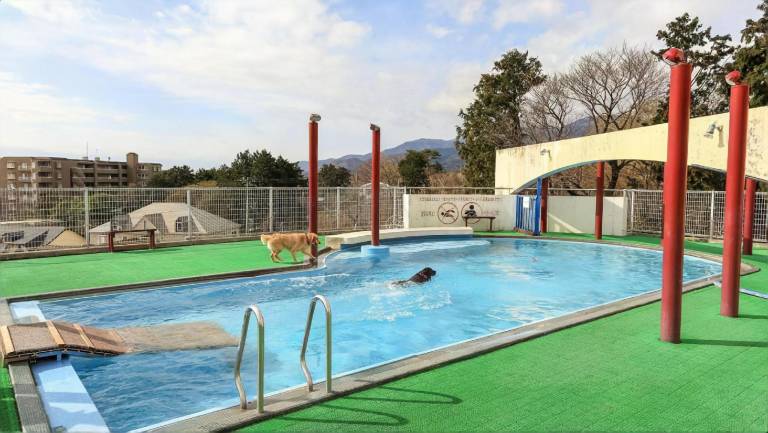 Izu-Kogen Wan Wan Paradise Condominium in Ito