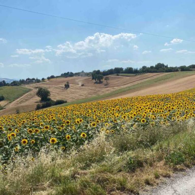foto44