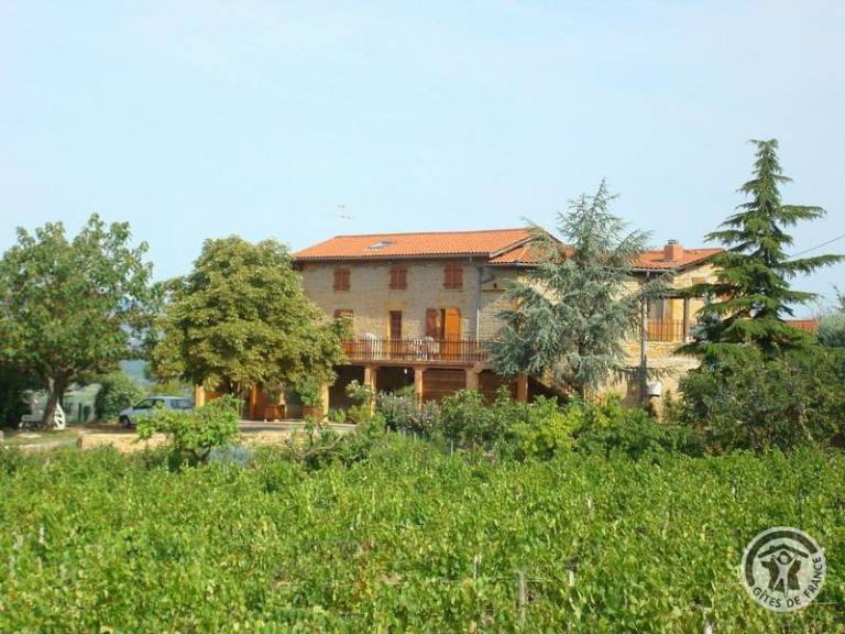 foto6