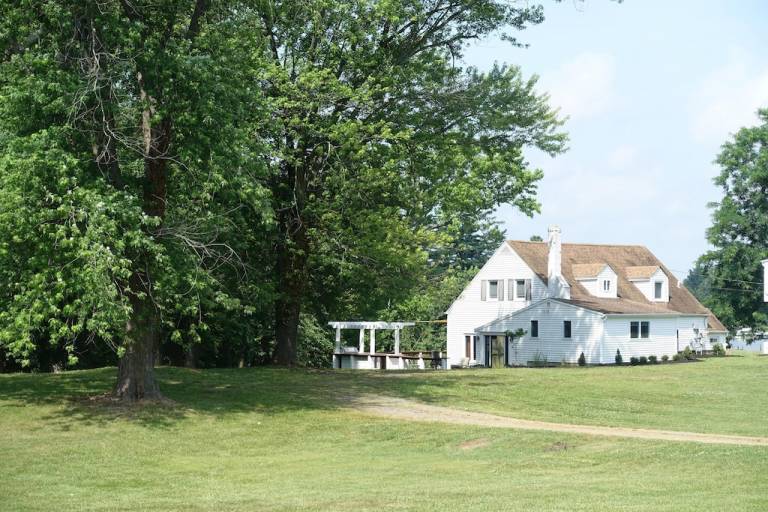 Cottage Mayo