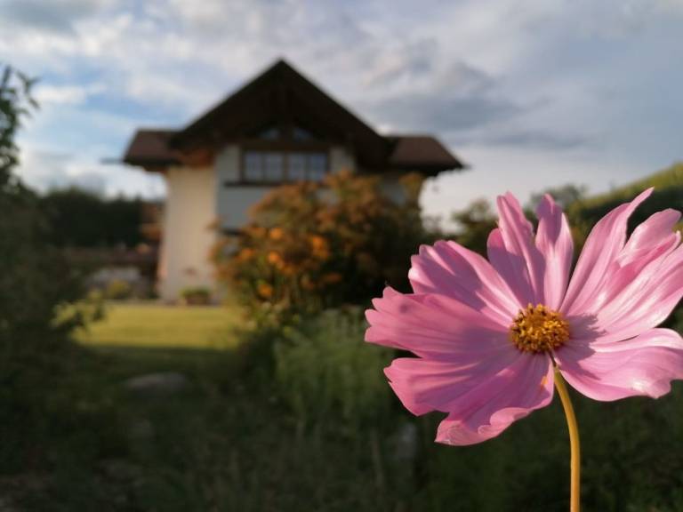 foto24