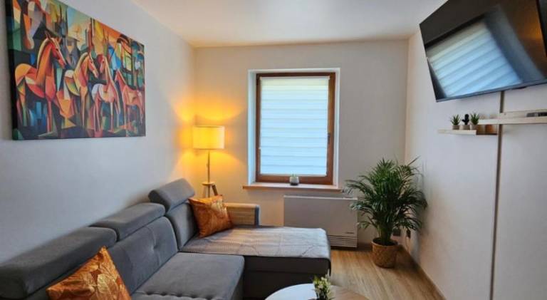 Charming holiday apartment | Pet-friendly in Gliwice