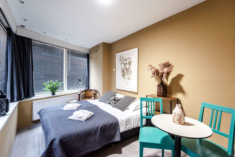 Apartament typu studio Zandvoort