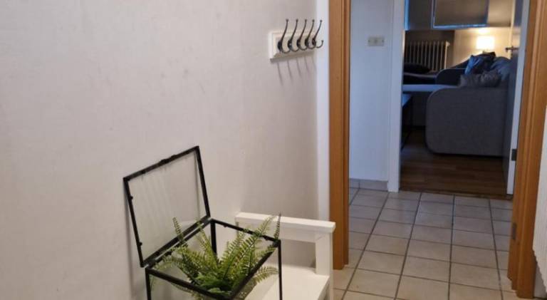 foto8