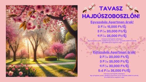 Apartament Hajdúszoboszló