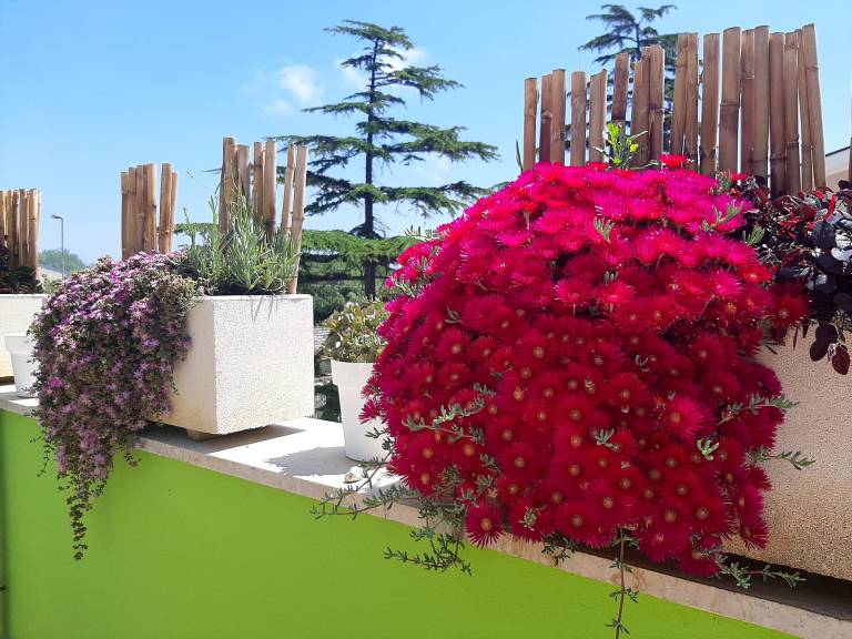 foto10