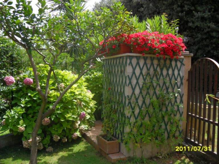 foto16